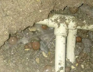 金牛卫生间测漏