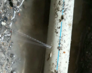 金牛卫生间测漏水多少钱