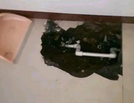 金牛卫生间测漏水多少钱
